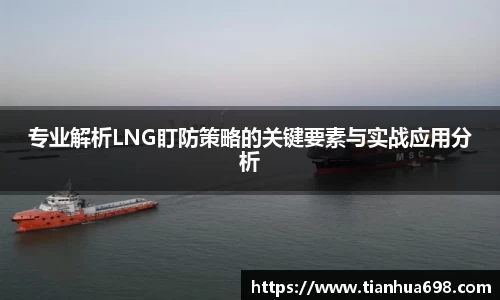 专业解析LNG盯防策略的关键要素与实战应用分析