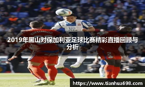2019年黑山对保加利亚足球比赛精彩直播回顾与分析