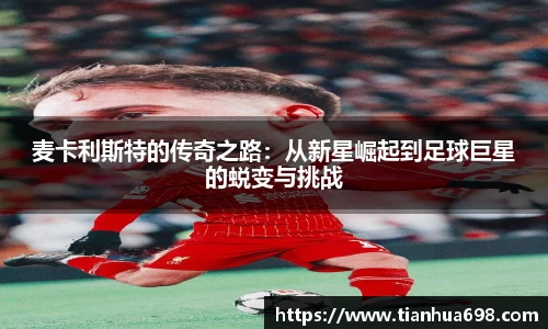 金年会体育官网